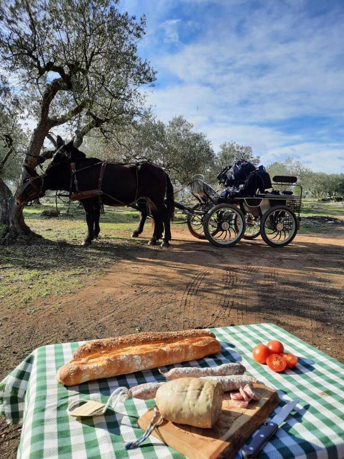 Can Barraca Avinyonet de Puigventós エクステリア 写真