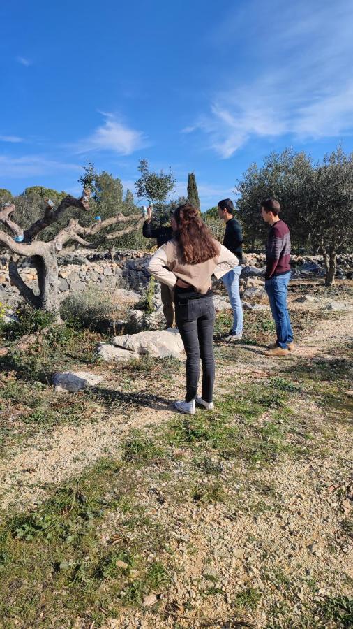 Can Barraca Avinyonet de Puigventós エクステリア 写真
